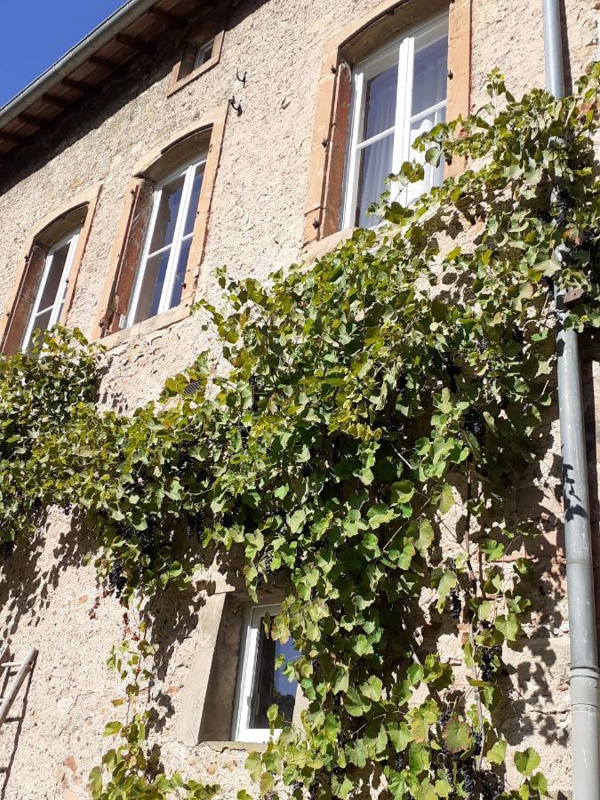 La Grange Aux Oiseaux Apartment Arnaville Екстериор снимка